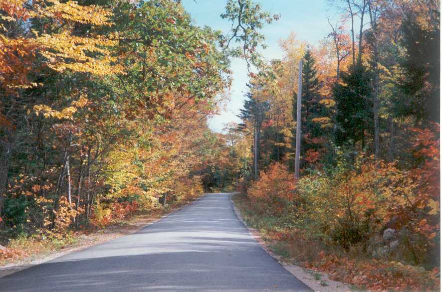 Maine Outdoors